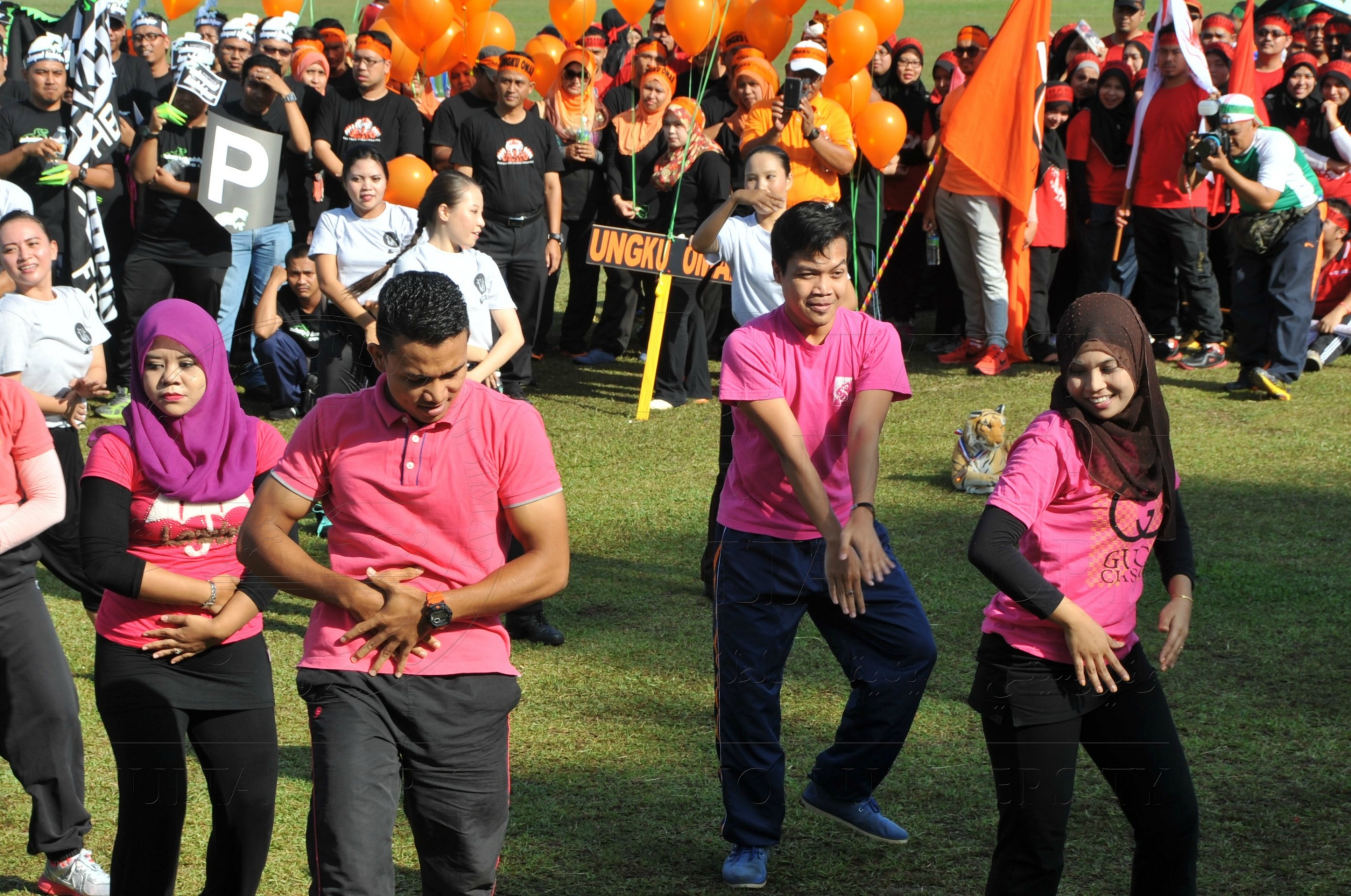 PRO 15 53 KIESTA HAS 3937